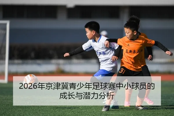 2026年京津冀青少年足球赛中小球员的成长与潜力分析